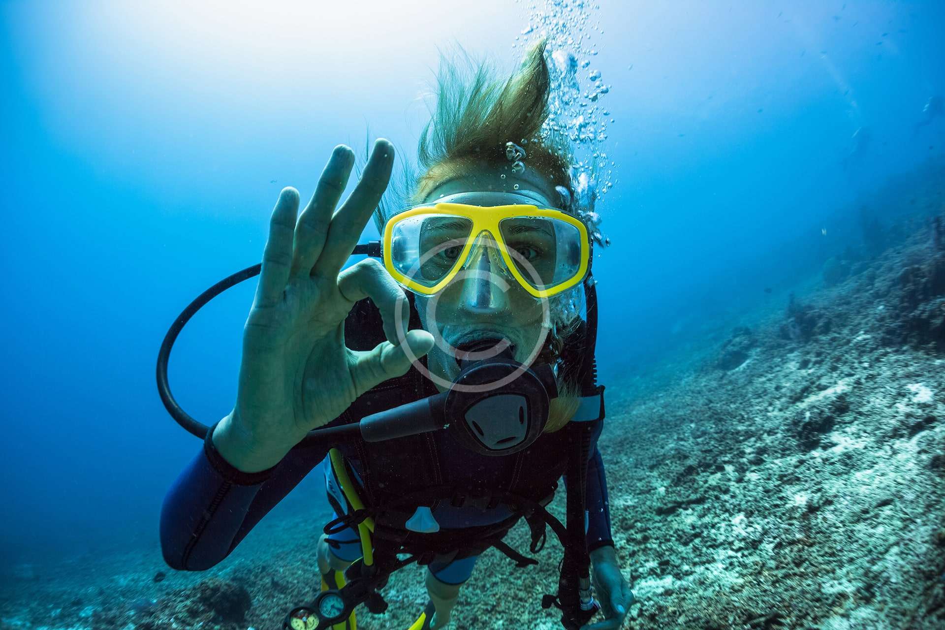 Open Water Scuba Diver